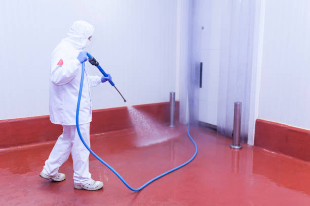 Best Graffiti Removal Services in St John, IN