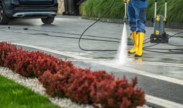 Best Window and Screen Pressure Cleaning in St John, IN